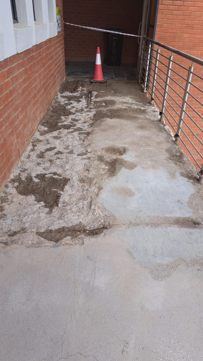 P3 Primer X (P3 Coat X)
